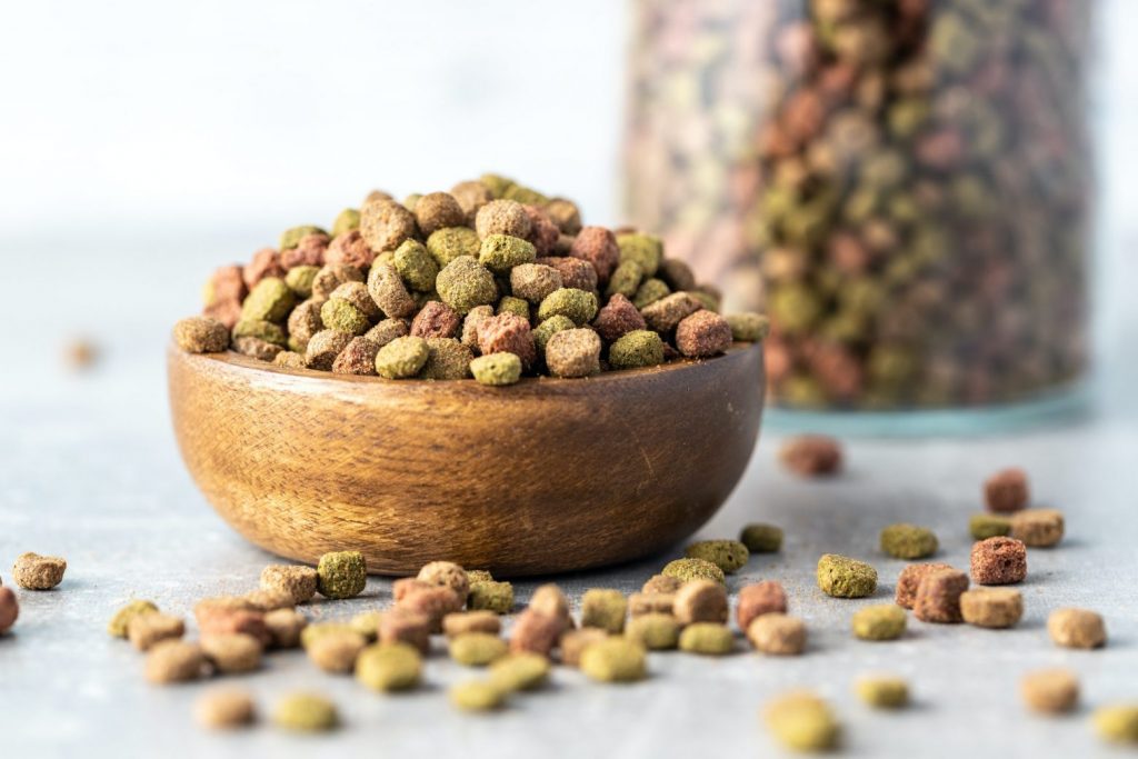 Dry kibble animal food. Dried food for cats or dogs.