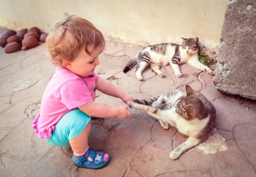 Little girl playing with cats
